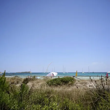 Appartement Porto Coda Cavallo - Salina Bamba San Teodoro (Sardinia)