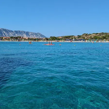 Porto Coda Cavallo - Salina Bamba * San Teodoro (Sardinia)