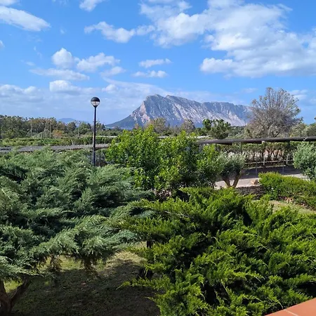 Appartement Porto Coda Cavallo - Salina Bamba San Teodoro (Sardinia)