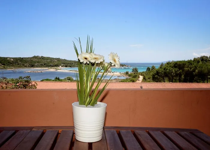 Porto Coda Cavallo - Salina Bamba *